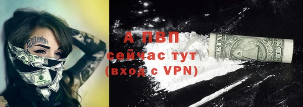 винт Нягань