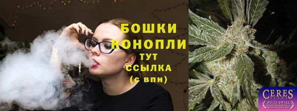 ГАЛЛЮЦИНОГЕННЫЕ ГРИБЫ Нязепетровск