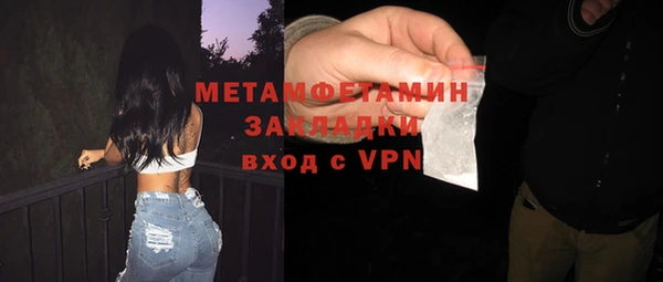 сатива Осинники