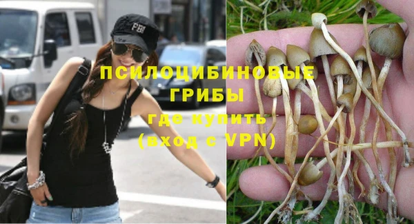 винт Нягань