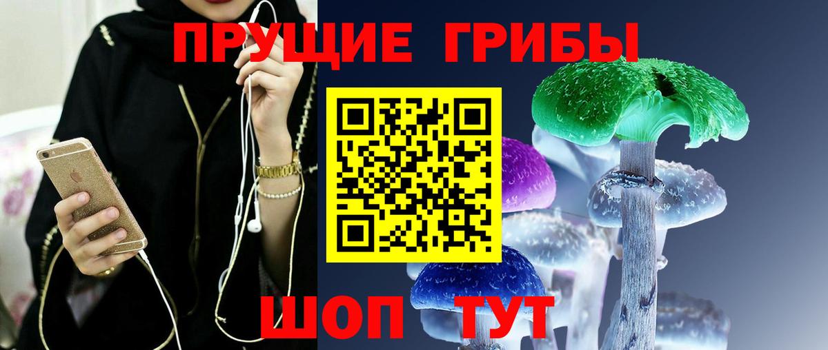 Галлюциногенные грибы Psilocybine cubensis Коряжма